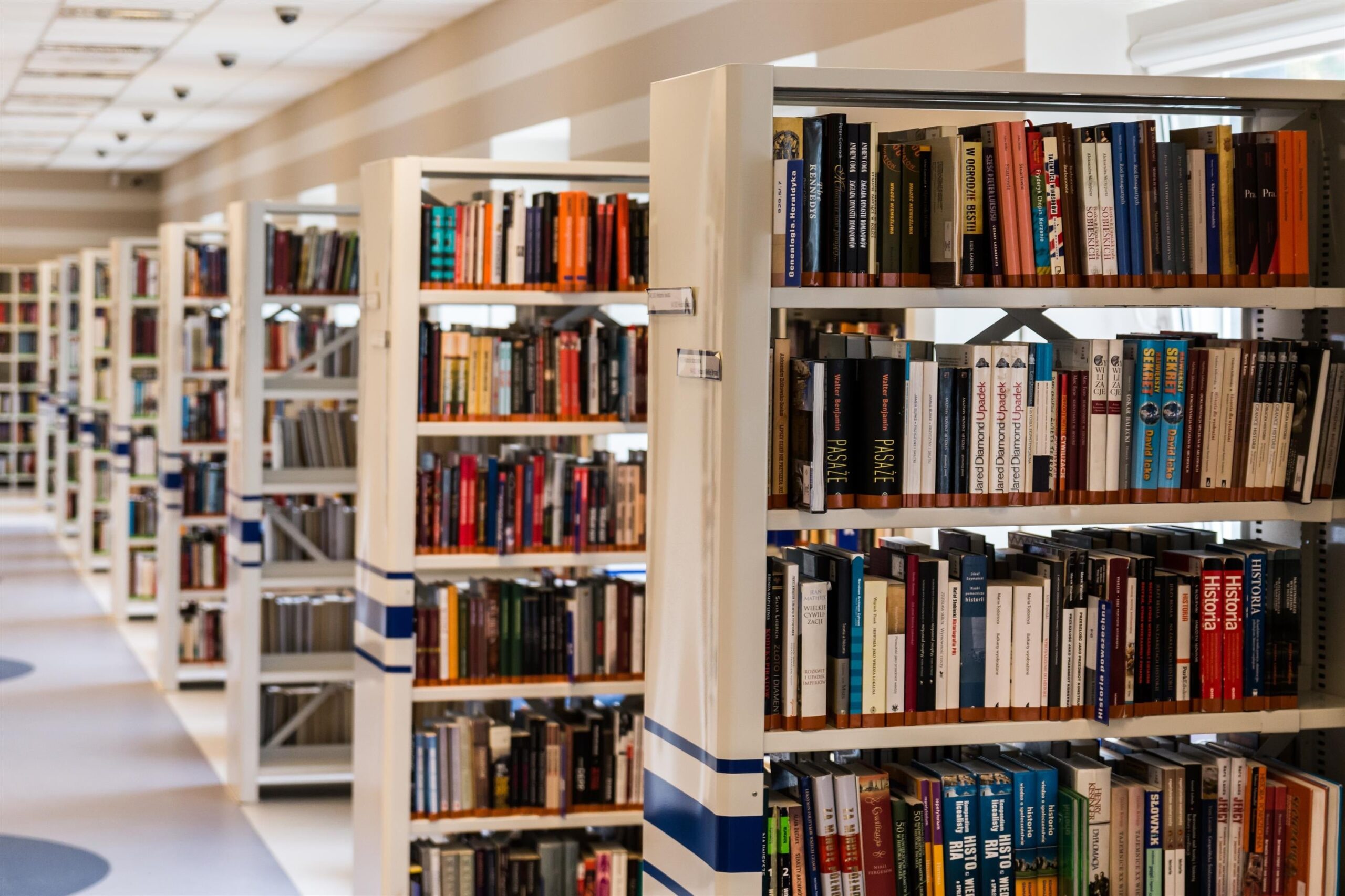 7 Estantes de libros